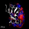 Propagation of water density changes around a photoperturbed allosteric protein