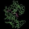 Maturation of the proplasmepsin zymogen