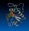 Flexible Binding of m6A Reader Protein YTHDC1 to Its Preferred RNA Motif